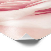 ライトピンクバラ花 – バラ花フローラ フォトプリント            (角)