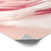 ライトピンクバラ花 – バラ花フローラ ポスター (角)