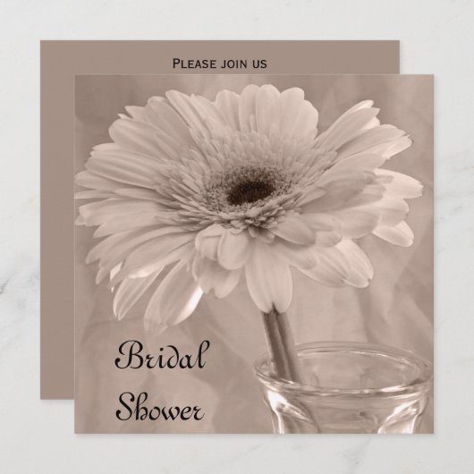 ライトピンク着色デイジーブライダルシャワー 招待状 (正面/裏面)