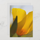 ライトフィルドポピー サンキューカード (正面/裏面)