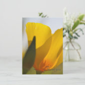 ライトフィルドポピー サンキューカード (スタンド正面)