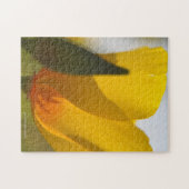 ライトフィルドポピー ジグソーパズル (横)