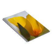 ライトフィルドポピー ノートブック (右側)