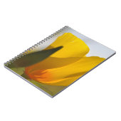 ライトフィルドポピー ノートブック (左側)