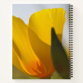 ライトフィルドポピー ノートブック (裏面)