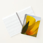 ライトフィルドポピー ノートブック (内部)