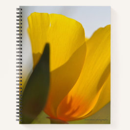 ライトフィルドポピー ノートブック