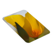 ライトフィルドポピー マグネット (右側)