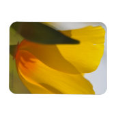 ライトフィルドポピー マグネット (横)