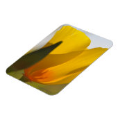 ライトフィルドポピー マグネット (左側)