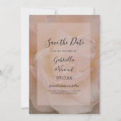 ライトブラッシュピンクのローズフラワーの結婚式のSave the Date 招待状 (正面)