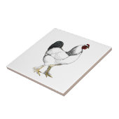 ライトブラーマルースターエレガント-ヴィンテージ鶏 タイル (側面)