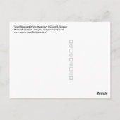 ライトブルーとホワイトの迷走模様 ポストカード (裏面)