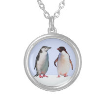 ライトブルーの美しいペンギンの鳥カップル