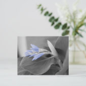 ライトブルーの花芽カラースプラッシュフォト ポストカード (スタンド正面)