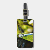 ライトブルートンボ ラゲッジタグ (正面縦)