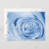ライトブルーバラ日付の保存 案内ポストカード (正面/裏面)
