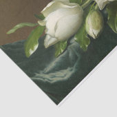 ライトブルーベルベットの上のマグノリアスHeade著 薄葉紙 (詳細)