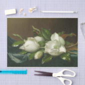 ライトブルーベルベットの上のマグノリアスHeade著 薄葉紙 (クラフト)