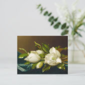 ライトブルーベルベットクロスにマグノリアスM J Heade ポストカード (スタンド正面)