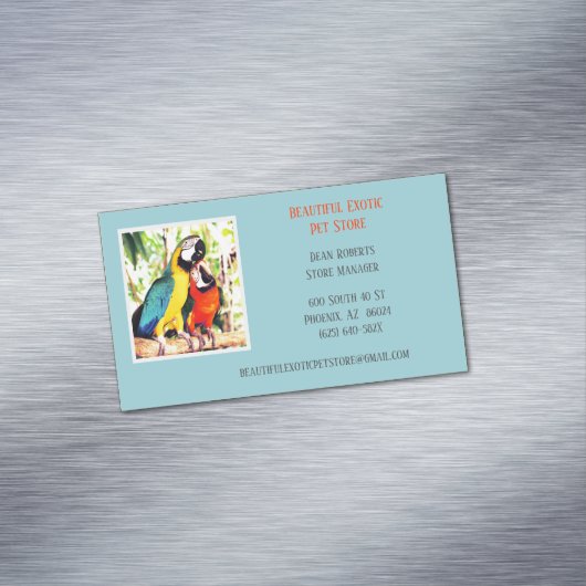 ライトブルー獣医/動物ペットストアパロッツ マグネット名刺 (インサイチュ)