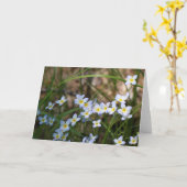 ライトブルー黄色の花自然撮影空白の カード (黄色い花)