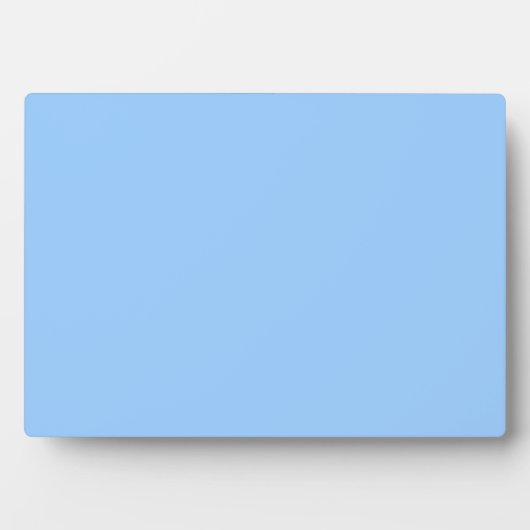 ライトブルー フォトプラーク (正面)