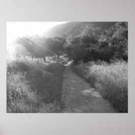 ライトポスターへの道 ポスター