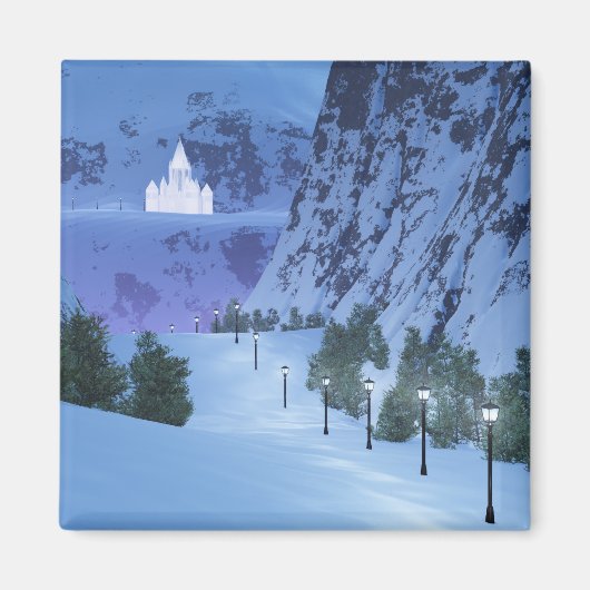 ライトマグネットの通過 マグネット (正面)