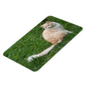 ライトレッドビューティ マグネット (左側)