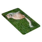 ライトレッドビューティ マグネット (右側)