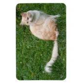 ライトレッドビューティ マグネット (縦)