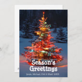 ライト付きクリスマスツリーアウトドア シーズンカード (正面/裏面)