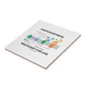 ライト依存した生命の間必要な光合性 タイル (側面)