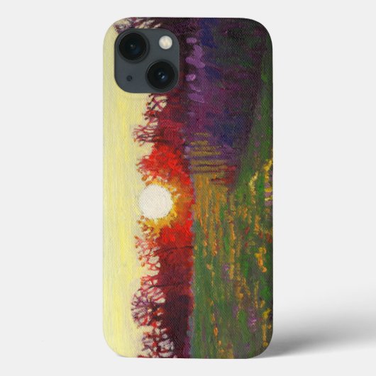 ライト2013のパス Case-Mate iPhoneケース (裏面)