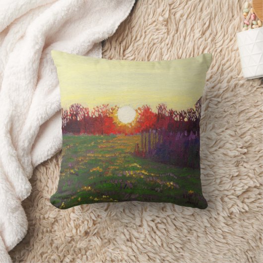 ライト2013年の道 クッション (ブランケット)