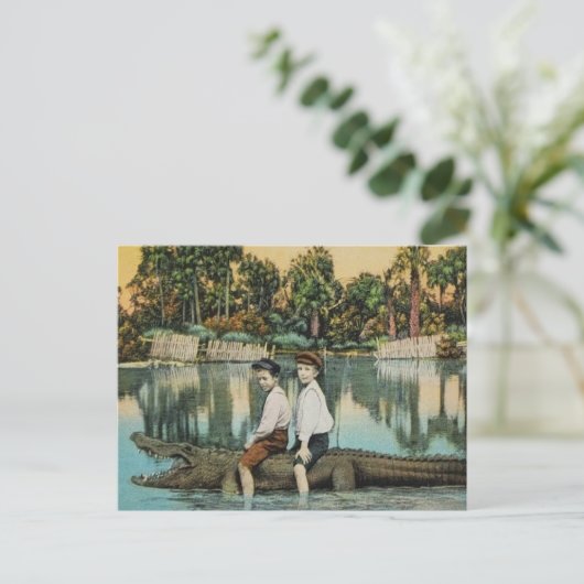 ライドウムゲーターハガキおもしろいキ ポストカード (スタンド正面)