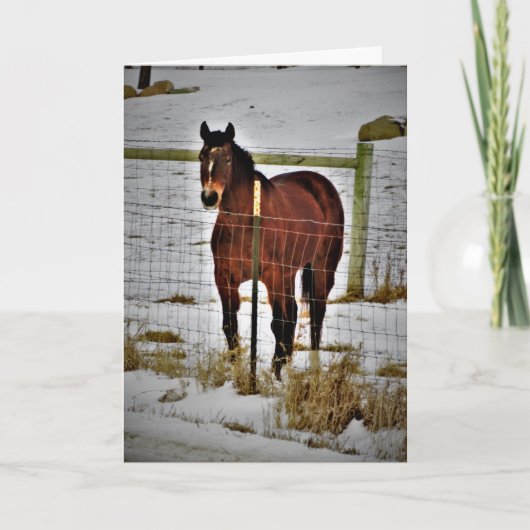 「ライド・アウェイ」誕生日カード カード (正面)