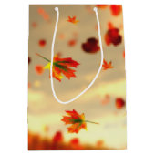 ライド・ザ10月ブリーズ抱き枕 ミディアムペーパーバッグ (正面)