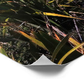 ライナ岬 ポスター (角)