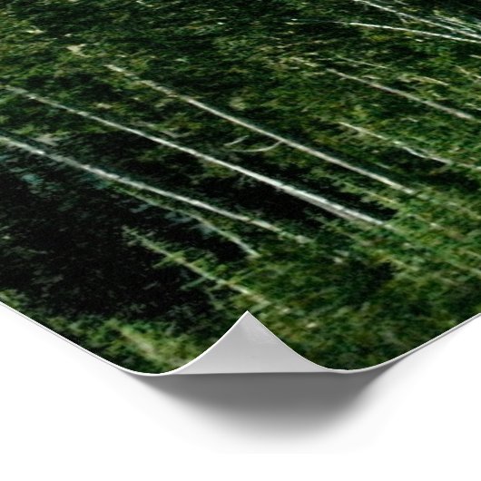 ライニエ山 ポスター (角)