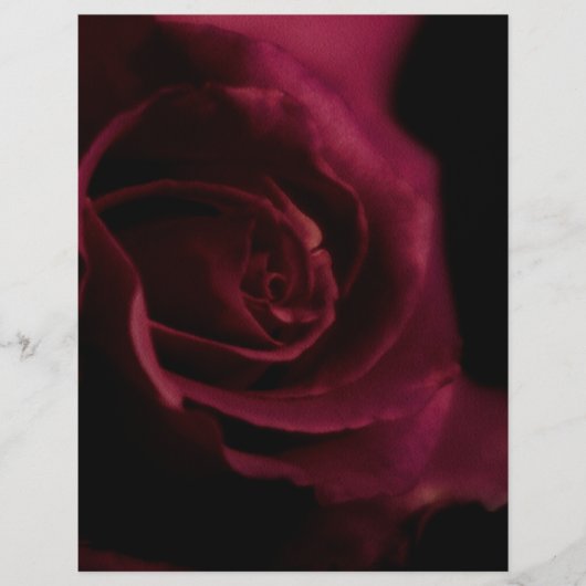 ライニングされたバインダー紙バラ8.5"x11"フィットエイブリィカスタムー チラシ (正面)