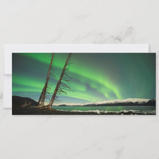 ライニングツリーオーロラ (正面)