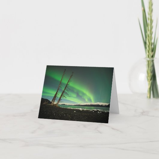 ライニングツリーオーロラ カード (正面)