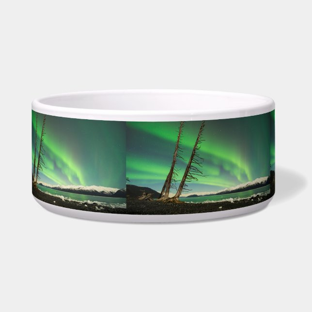 ライニングツリーオーロラ ボウル (左)