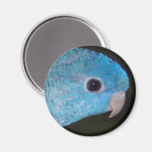 ライニー・パラケート磁石 マグネット (正面/裏面)