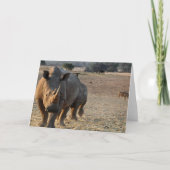 ライノカード カード (正面)