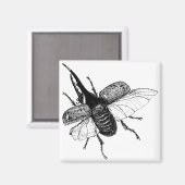 ライノセロスカブトムシヴィンテージウッド版木、銅版、版画 マグネット (正面/裏面)