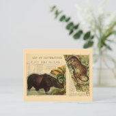 ライノセロスジャガー動物イラスト ポストカード (スタンド正面)