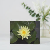 ライパド ポストカード (スタンド正面)